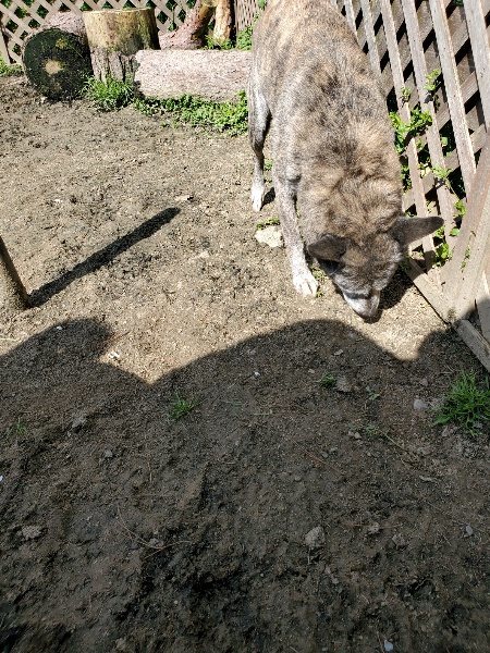 f：id：roukenhome-ann：20200406130612j：plain