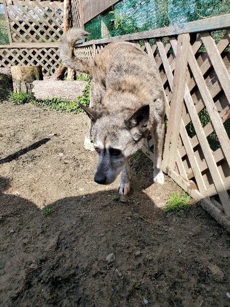 f：id：roukenhome-ann：20200406130618j：プレーン