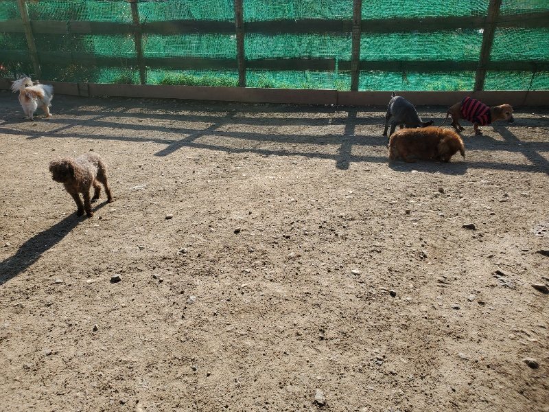 f：id：roukenhome-ann：20200406182123j：plain