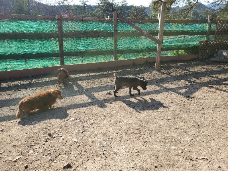 f：id：roukenhome-ann：20200406182151j：plain