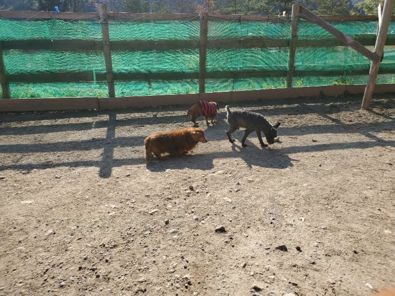 f：id：roukenhome-ann：20200406182206j：plain