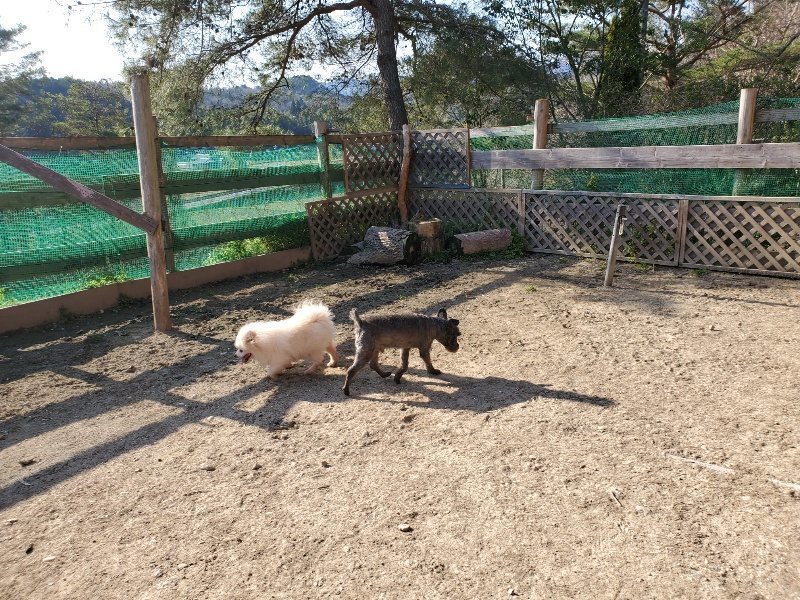 f：id：roukenhome-ann：20200406182229j：plain