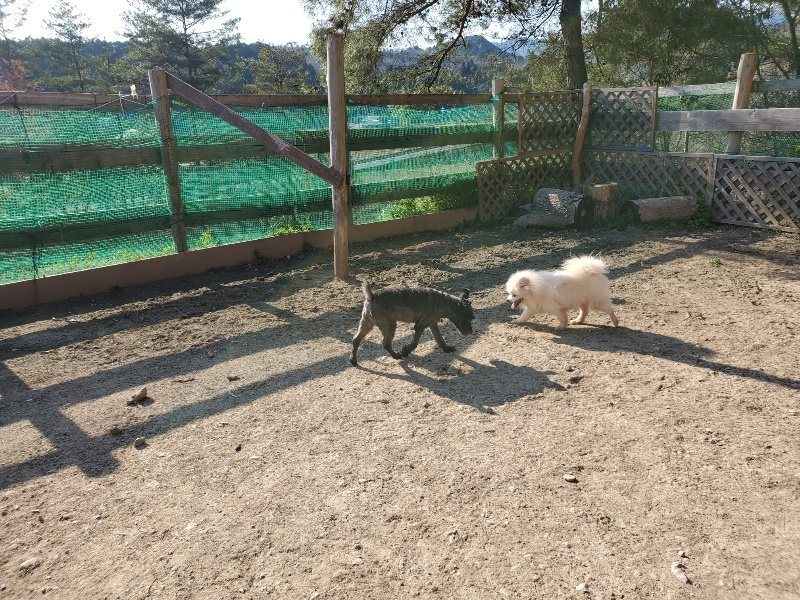 f：id：roukenhome-ann：20200406182236j：plain