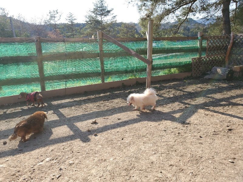 f：id：roukenhome-ann：20200406182241j：plain