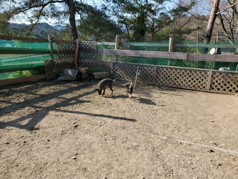 f：id：roukenhome-ann：20200406182253j：plain