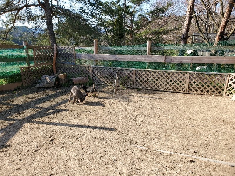 f：id：roukenhome-ann：20200406182307j：plain