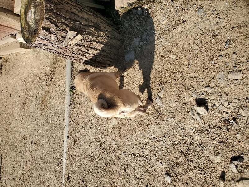 f：id：roukenhome-ann：20200406182319j：plain