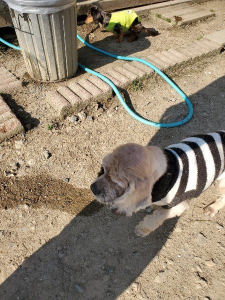 f：id：roukenhome-ann：20200406182330j：plain