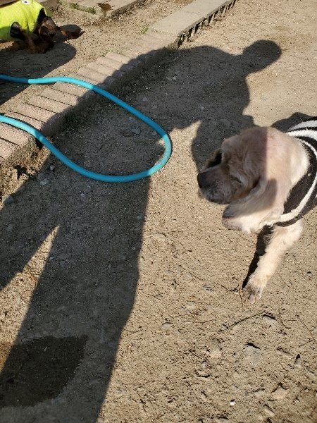 f：id：roukenhome-ann：20200406182335j：plain