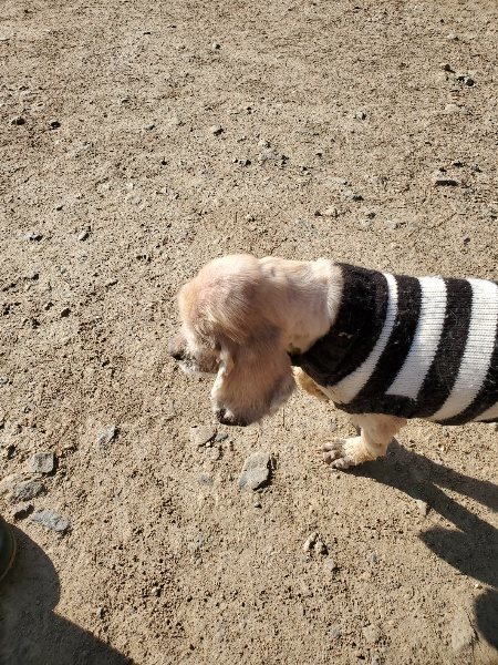 f：id：roukenhome-ann：20200406182339j：plain