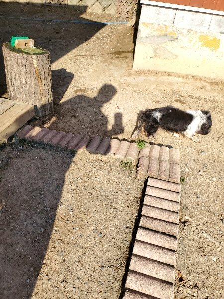 f：id：roukenhome-ann：20200406182350j：plain