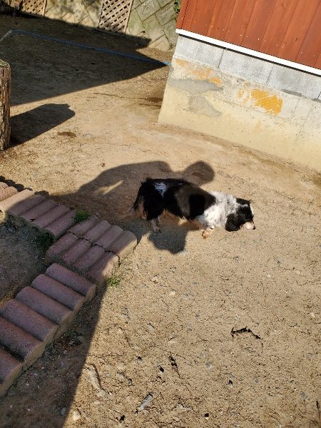 f：id：roukenhome-ann：20200406182355j：plain