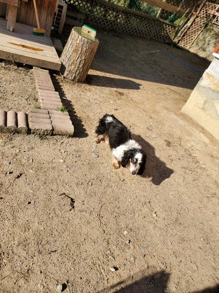 f：id：roukenhome-ann：20200406182400j：plain