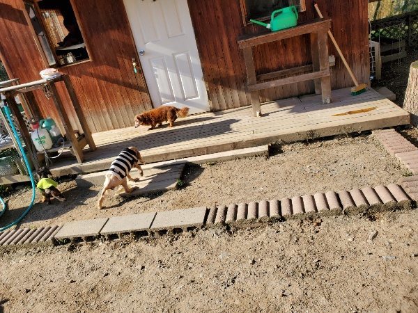 f：id：roukenhome-ann：20200406182404j：plain