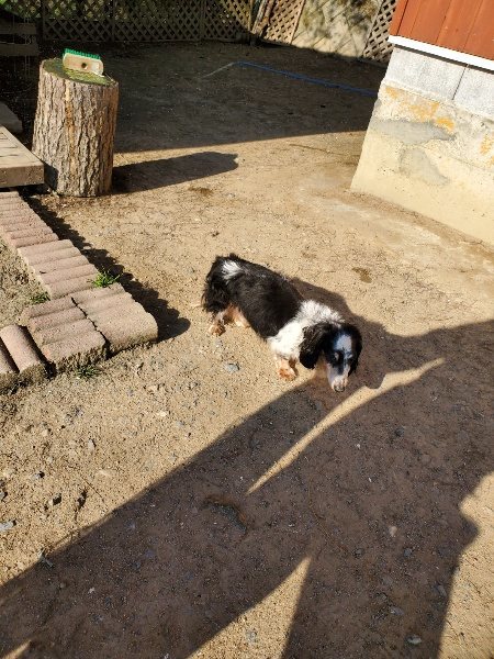 f：id：roukenhome-ann：20200406182411j：plain