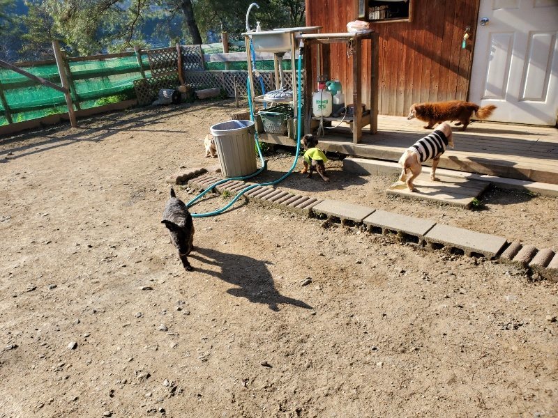 f：id：roukenhome-ann：20200406182418j：plain