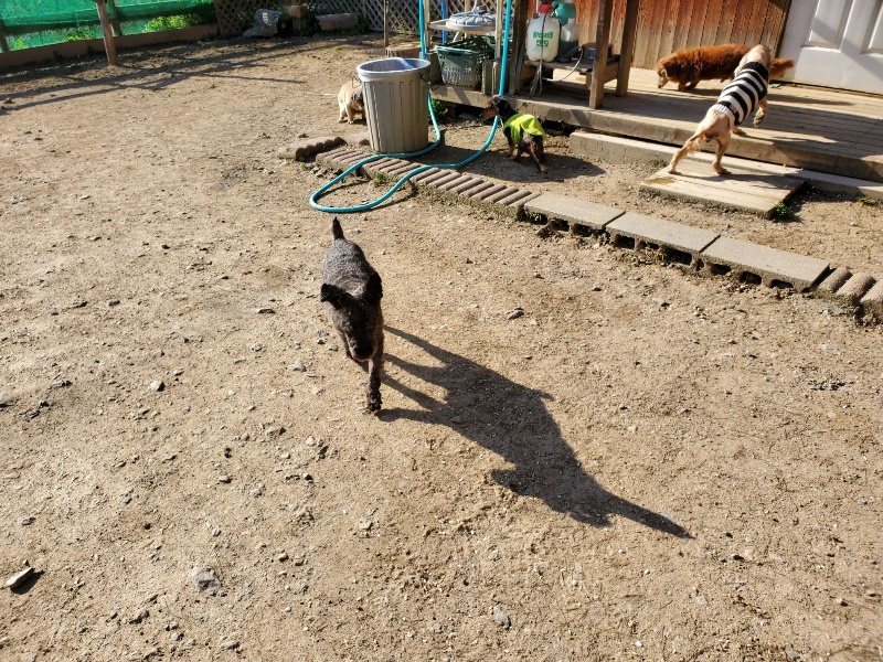 f：id：roukenhome-ann：20200406182424j：plain