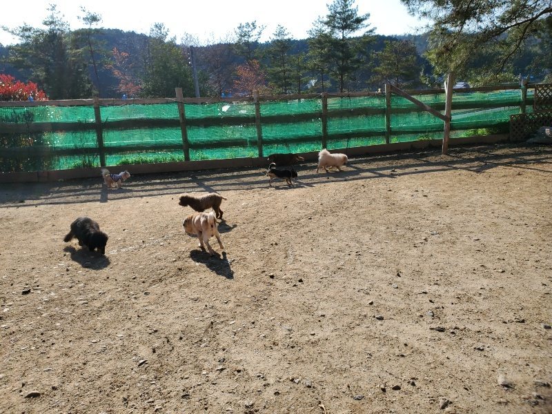 f：id：roukenhome-ann：20200406182430j：plain