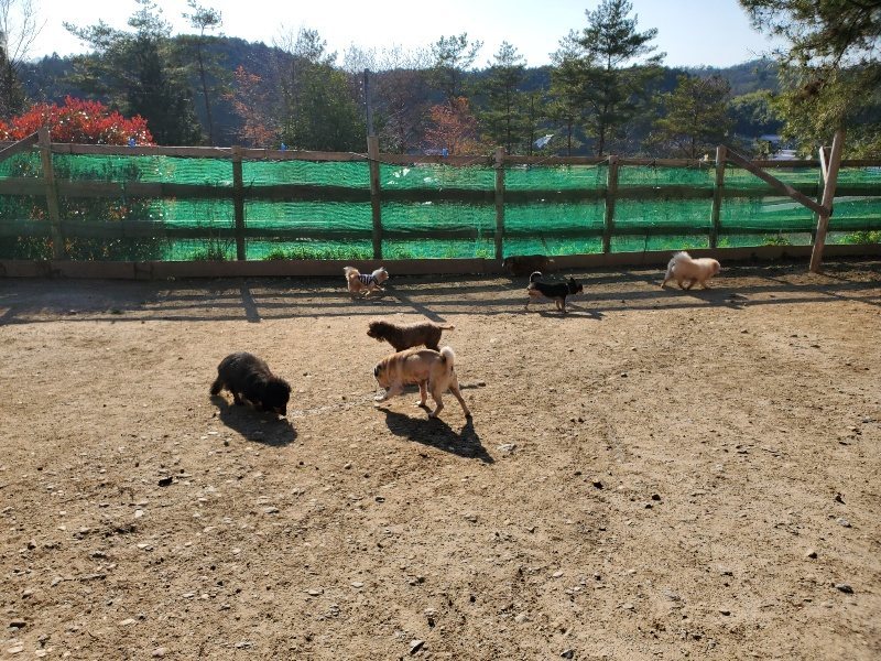 f：id：roukenhome-ann：20200406182436j：plain