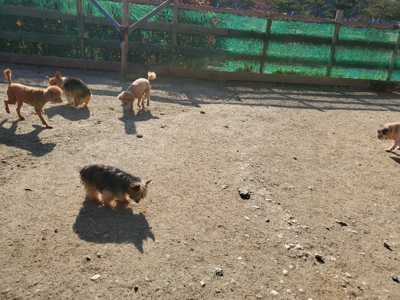 f：id：roukenhome-ann：20200406182450j：plain