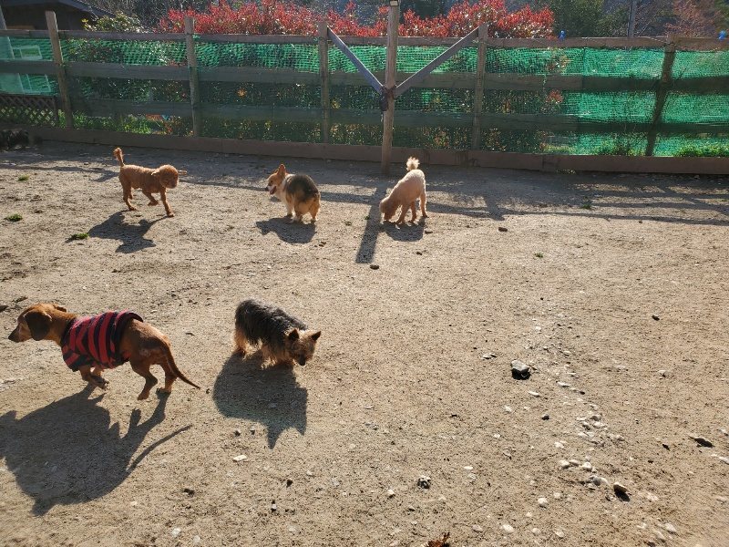 f：id：roukenhome-ann：20200406182458j：plain