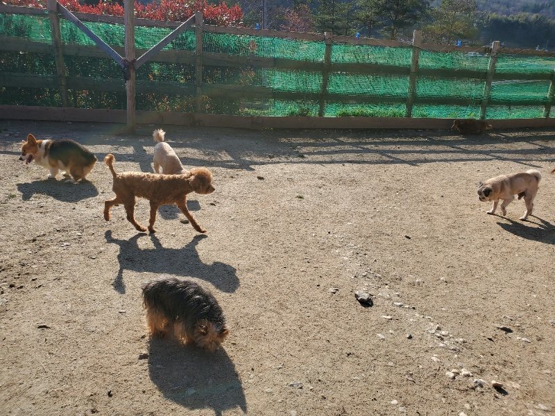 f：id：roukenhome-ann：20200406182504j：plain