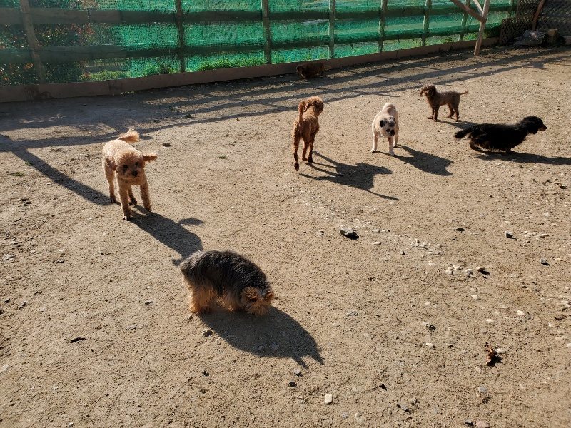 f：id：roukenhome-ann：20200406182512j：plain