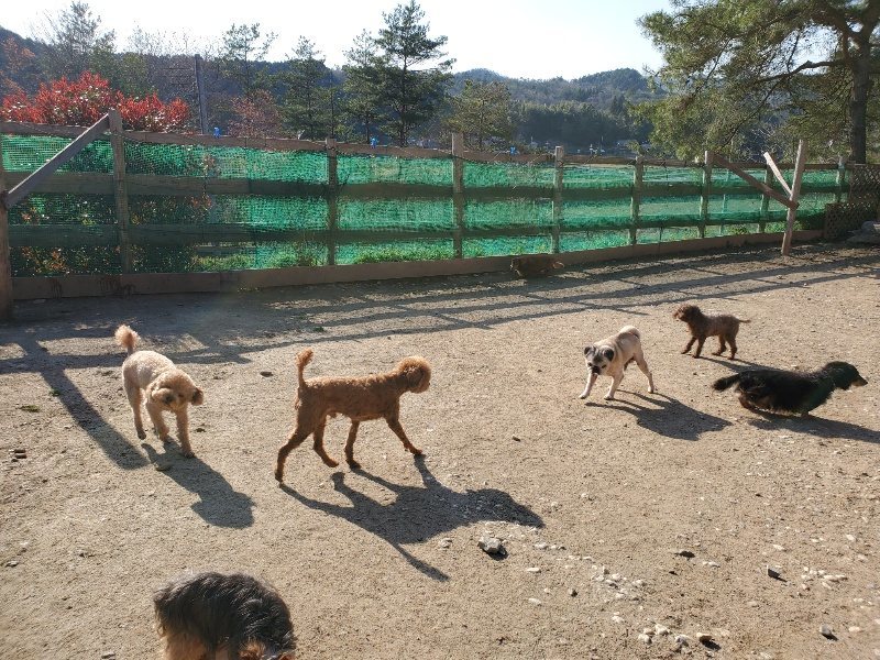 f：id：roukenhome-ann：20200406182521j：plain