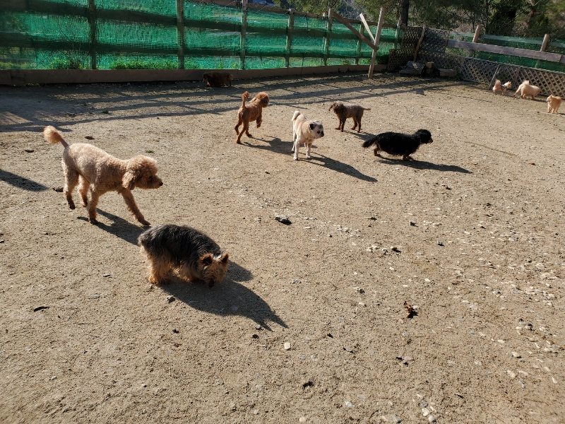 f：id：roukenhome-ann：20200406182528j：plain