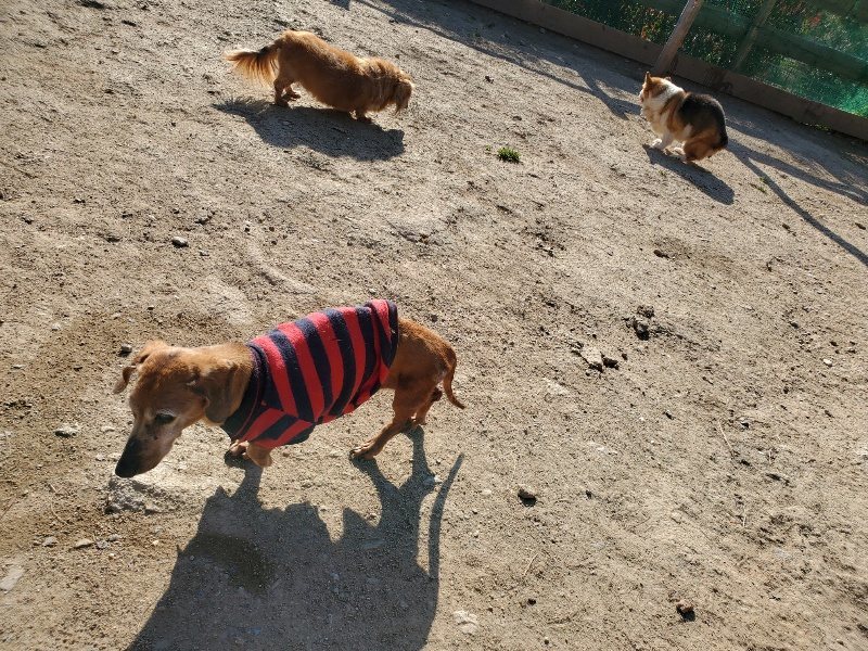 f：id：roukenhome-ann：20200406182534j：plain