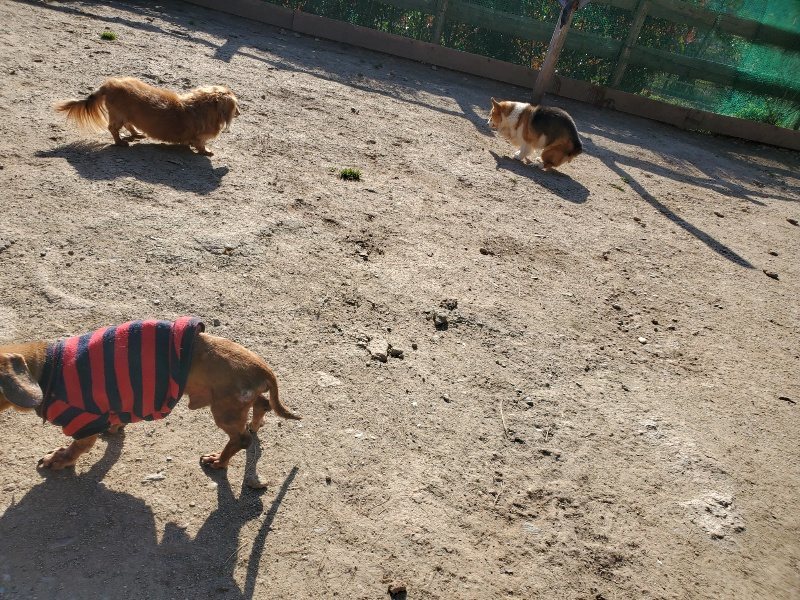 f：id：roukenhome-ann：20200406182542j：plain