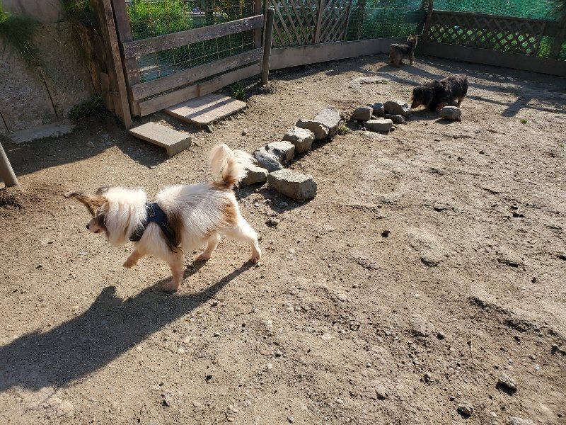 f：id：roukenhome-ann：20200406182548j：plain