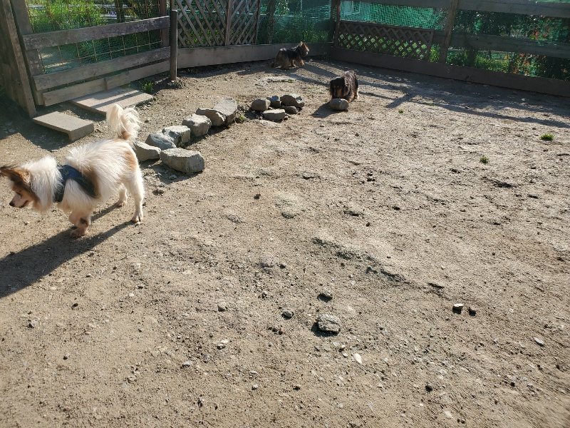 f：id：roukenhome-ann：20200406182554j：plain