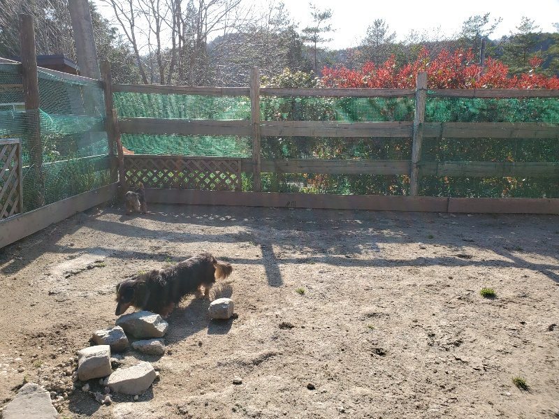 f：id：roukenhome-ann：20200406182559j：plain