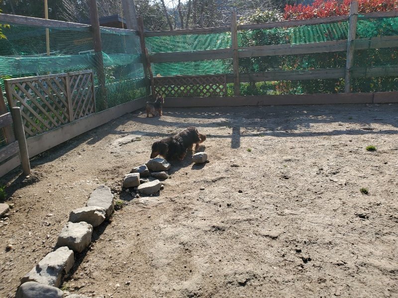 f：id：roukenhome-ann：20200406182605j：plain