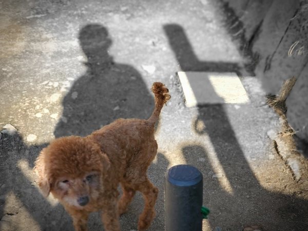 f：id：roukenhome-ann：20200406182617j：plain