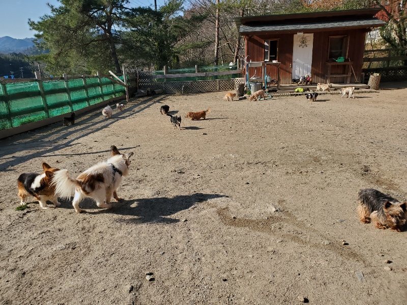 f：id：roukenhome-ann：20200406182625j：plain