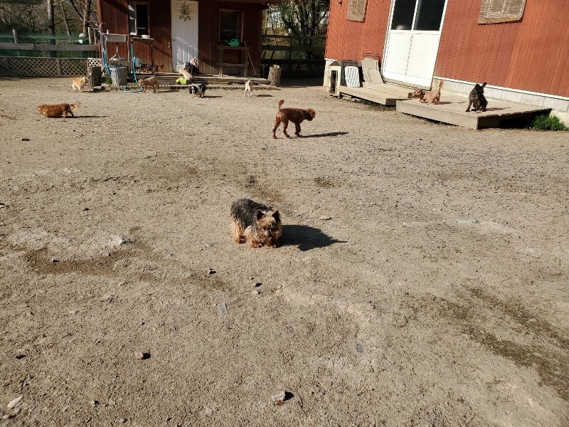 f：id：roukenhome-ann：20200406182630j：plain