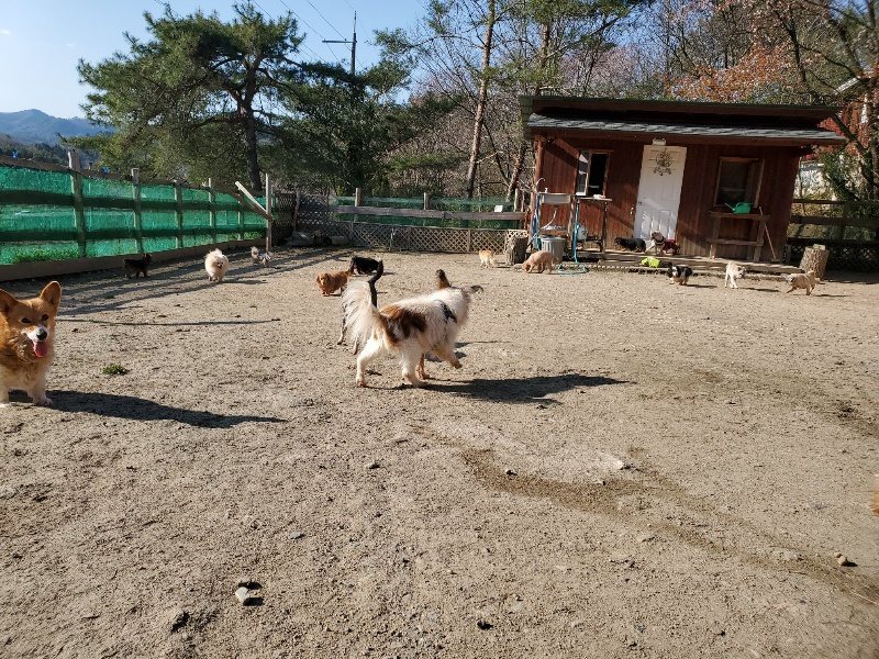 f：id：roukenhome-ann：20200406182636j：plain