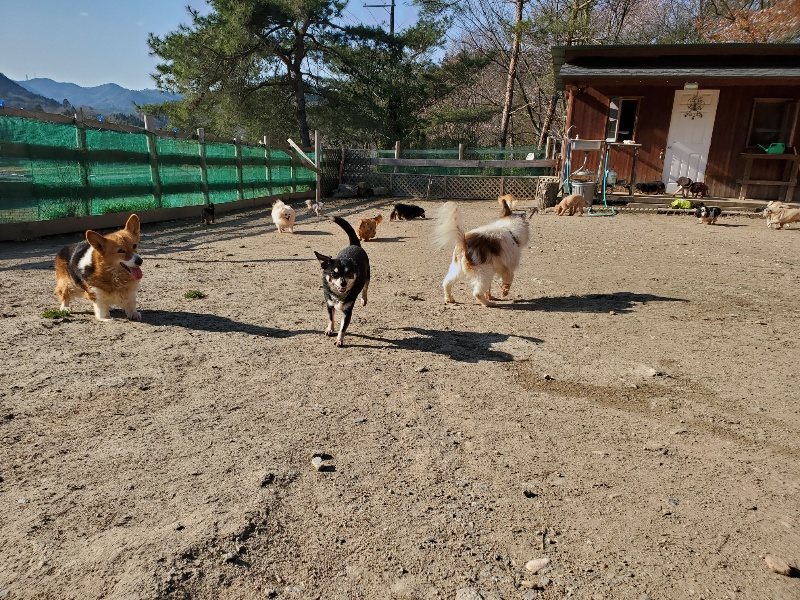 f：id：roukenhome-ann：20200406182642j：plain