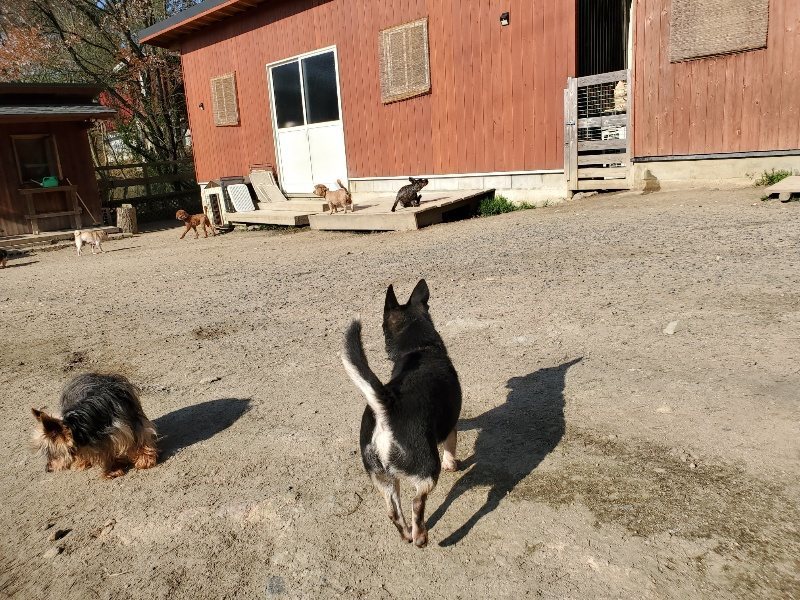 f：id：roukenhome-ann：20200406182648j：plain