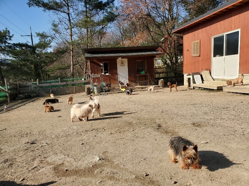 f：id：roukenhome-ann：20200406182655j：plain