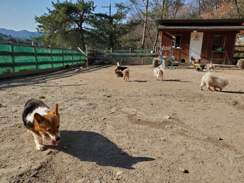 f：id：roukenhome-ann：20200406182709j：plain