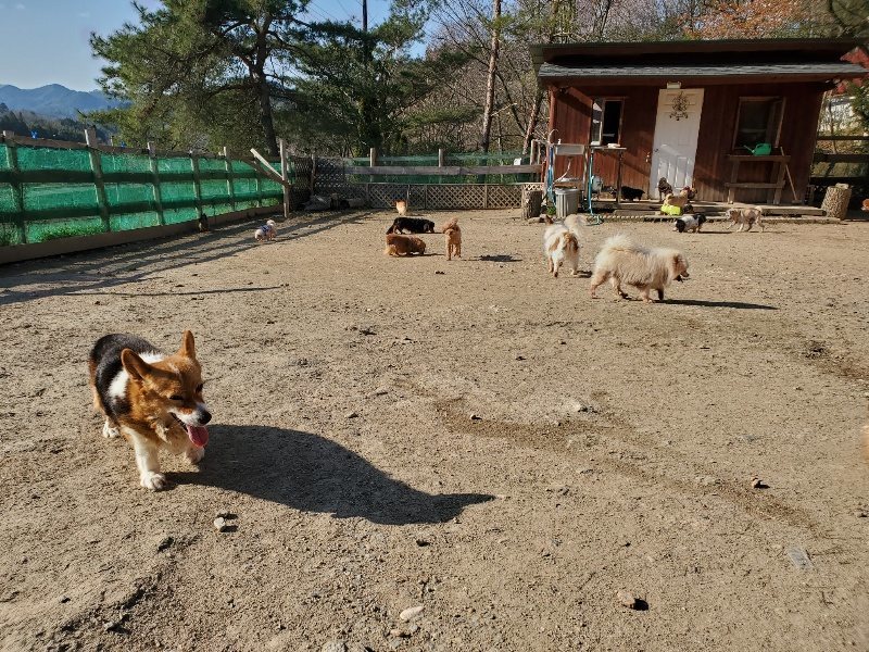 f：id：roukenhome-ann：20200406182715j：plain