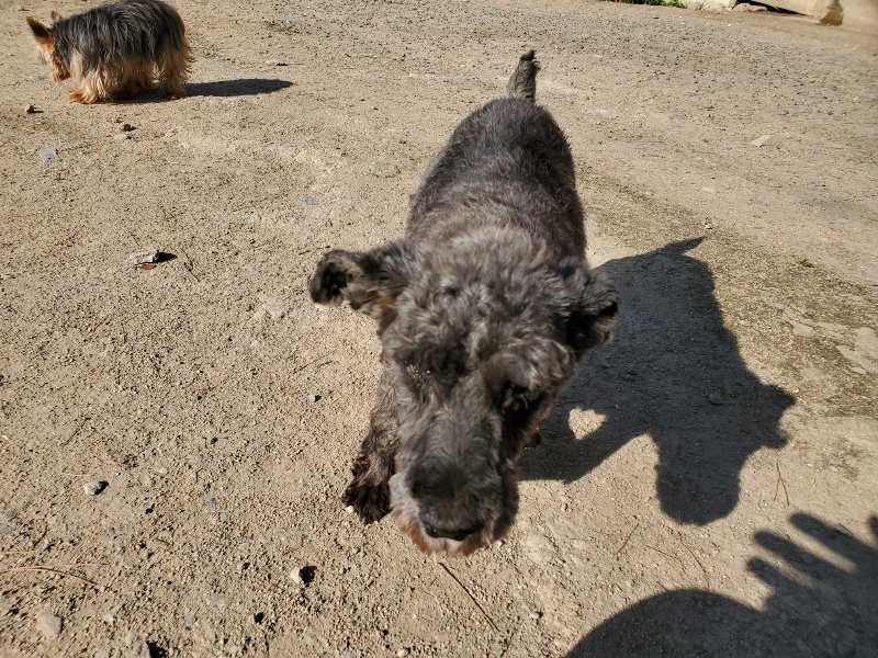 f：id：roukenhome-ann：20200406182720j：plain