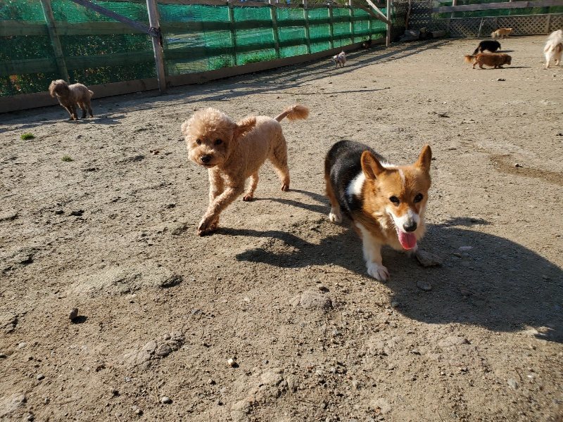 f：id：roukenhome-ann：20200406182726j：plain