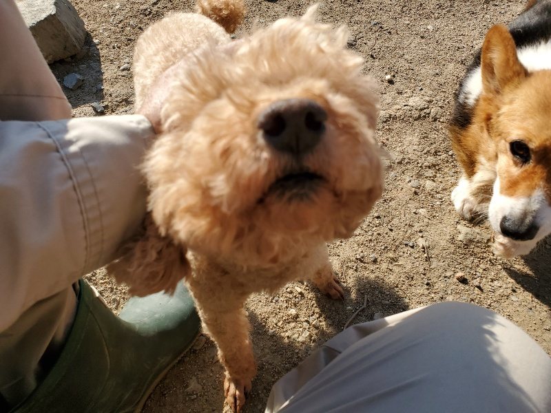 f：id：roukenhome-ann：20200406182732j：plain