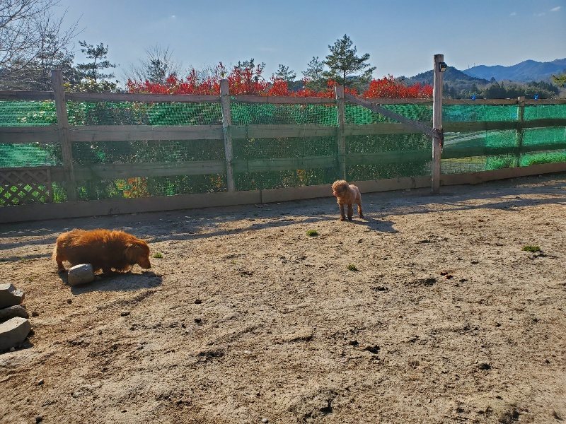 f：id：roukenhome-ann：20200406182812j：plain