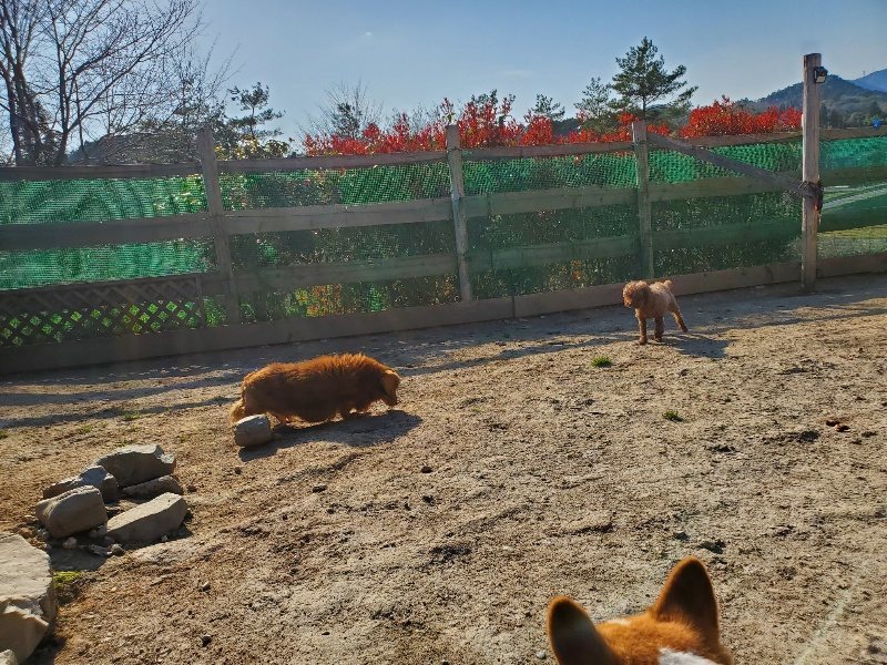 f：id：roukenhome-ann：20200406182826j：plain