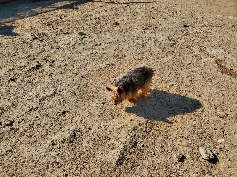 f：id：roukenhome-ann：20200406182838j：plain